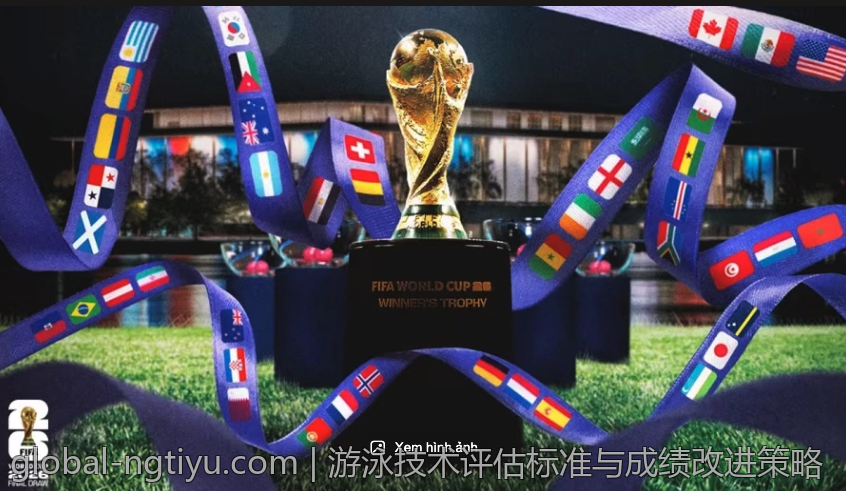 游泳技术评估标准与成绩改进策略
